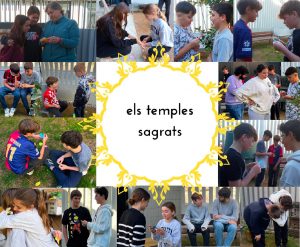 Tallers Diversitat i Convivència als centres educatius